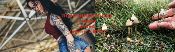 гашик Тосно