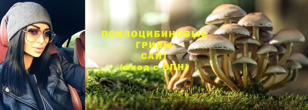 круглые Алексеевка