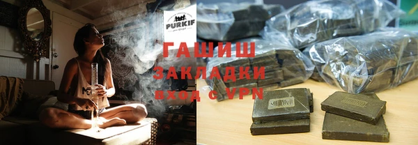 индика Тотьма