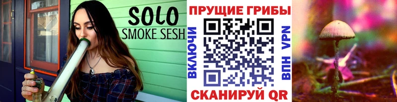 Псилоцибиновые грибы Cubensis  Шумиха 